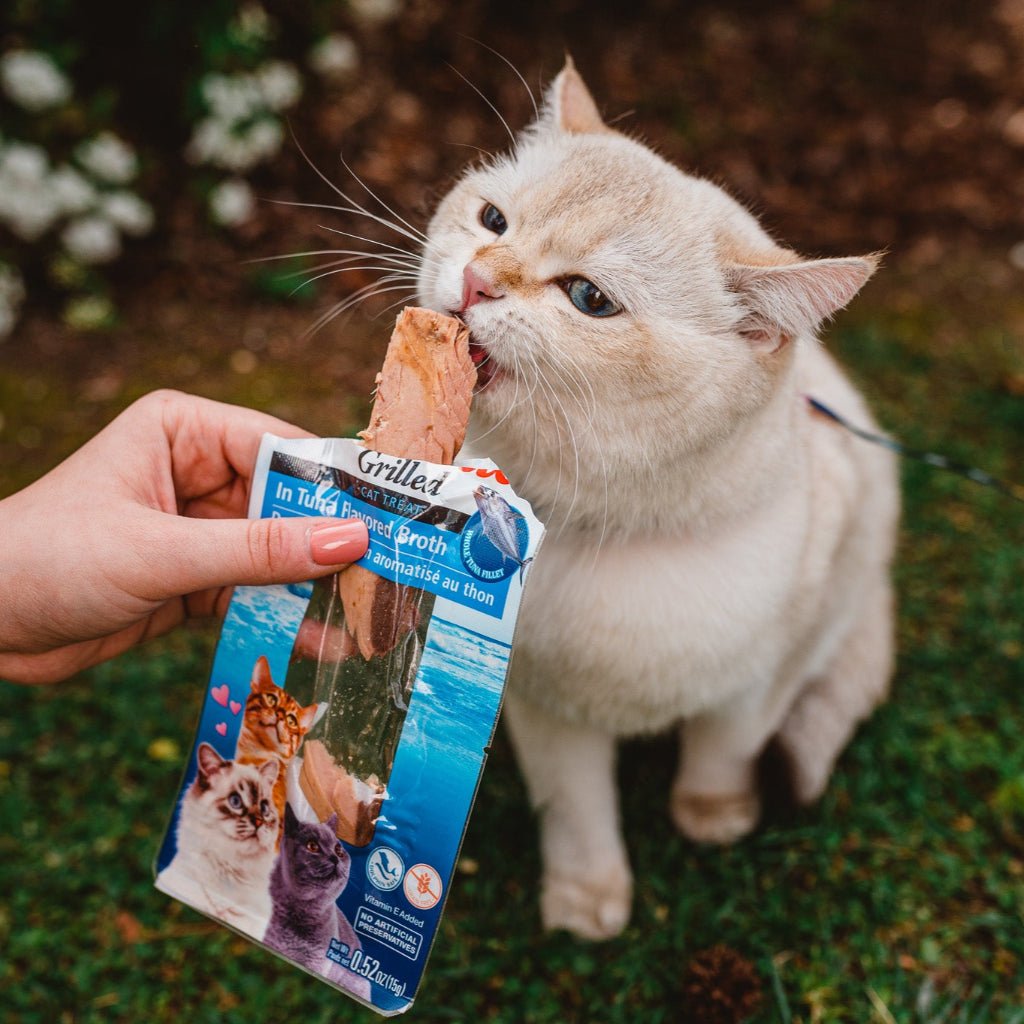 Inaba ǀ mačji priboljšek - TUNA v domači juhi 15 g od Inaba | Na voljo pri Forapet