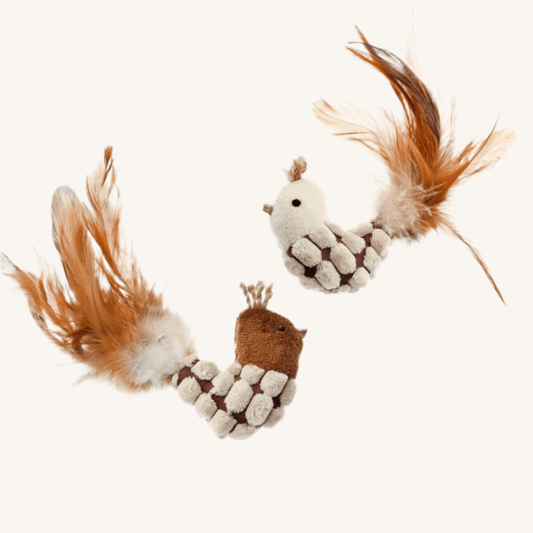 Mačja igrača PTICA s perjem in zvončkom 2 kos od Ferribiella | Na voljo pri Forapet