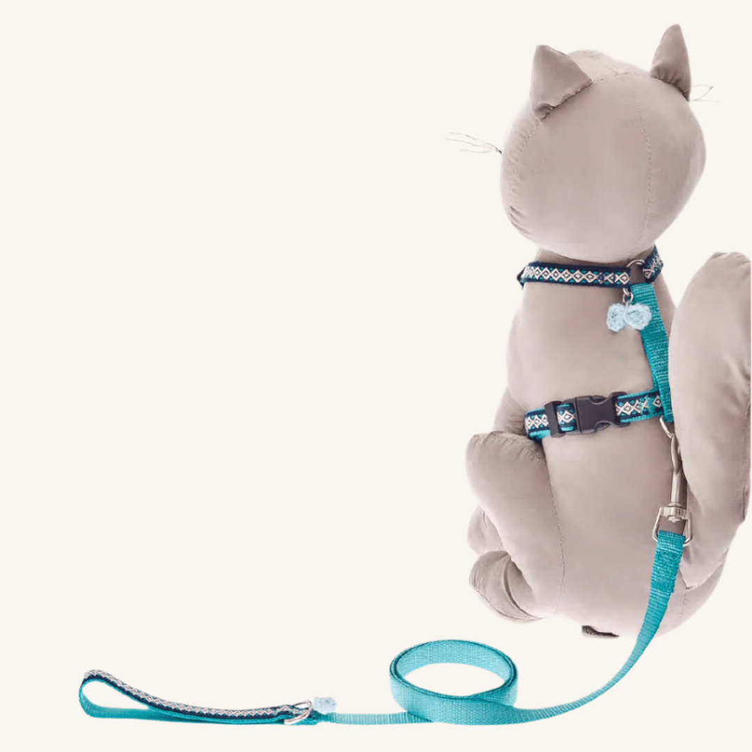 Mačja oprsnica in povodec Iceland od Ferribiella | Na voljo pri Forapet