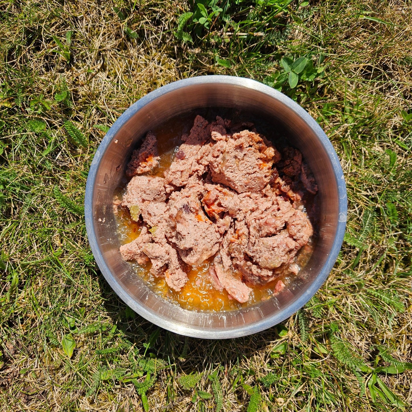 Monge BWild ǀ pasja mokra hrana - RACA 400 g od Monge | Na voljo pri Forapet