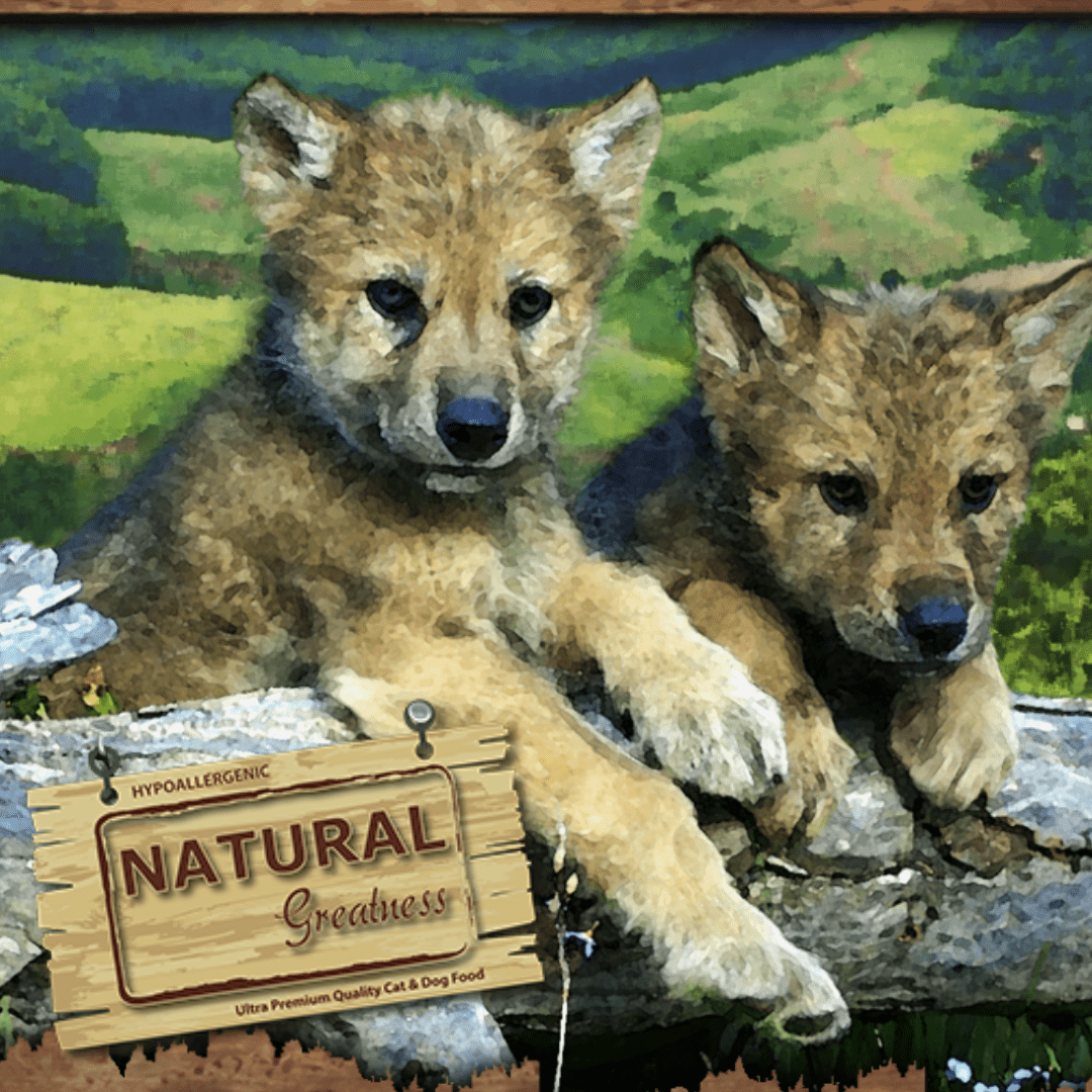 Natural Greatness ǀ MINI ADULT & PUPPY pasji briketi - OBČUTLJIVA PREBAVA (jagnjetina) od Natural Greatness | Na voljo pri Forapet