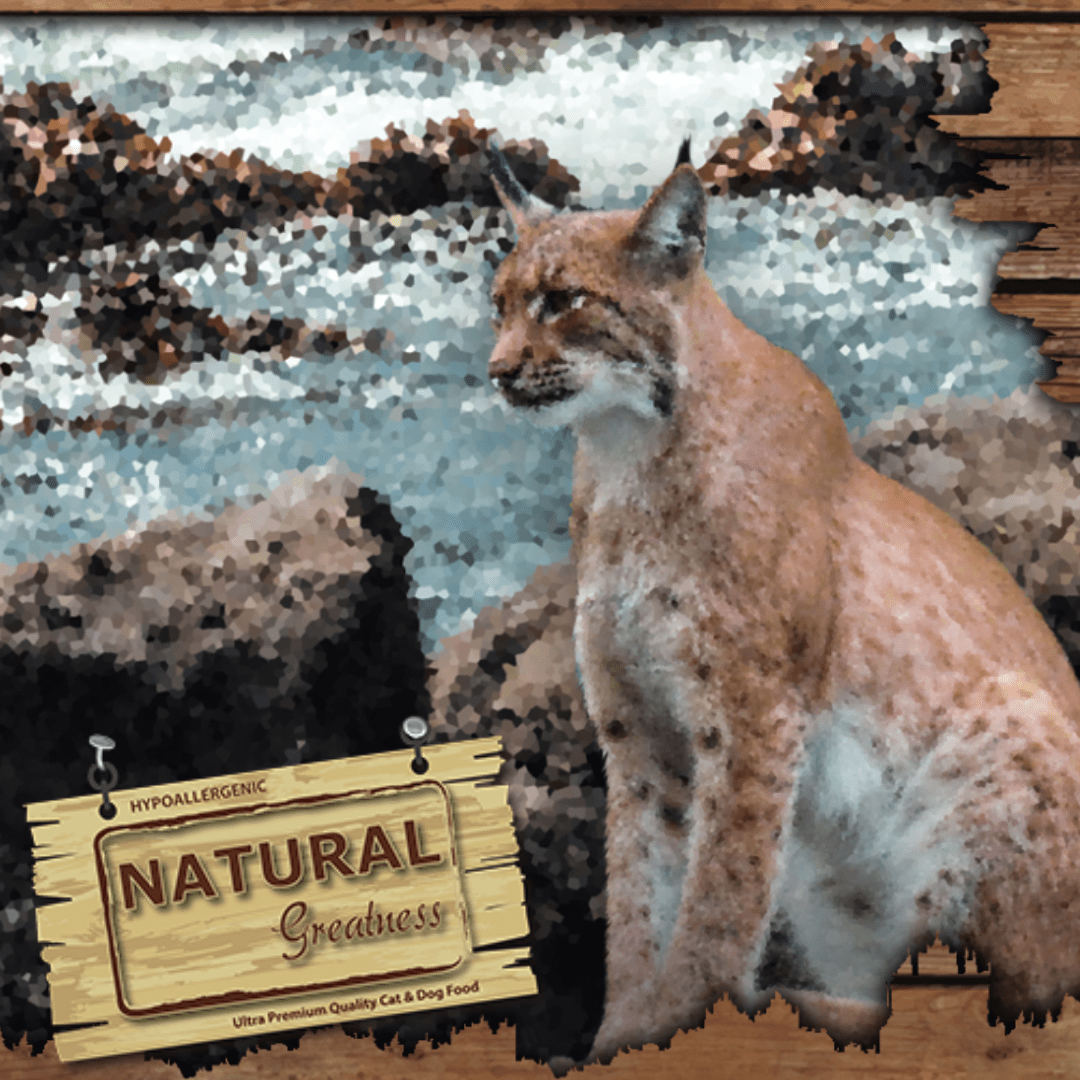 Natural Greatness ǀ SENIOR & STERILISED mačji briketi - URAVNAVANJE TEŽE (losos & piščanec) od Natural Greatness | Na voljo pri Forapet