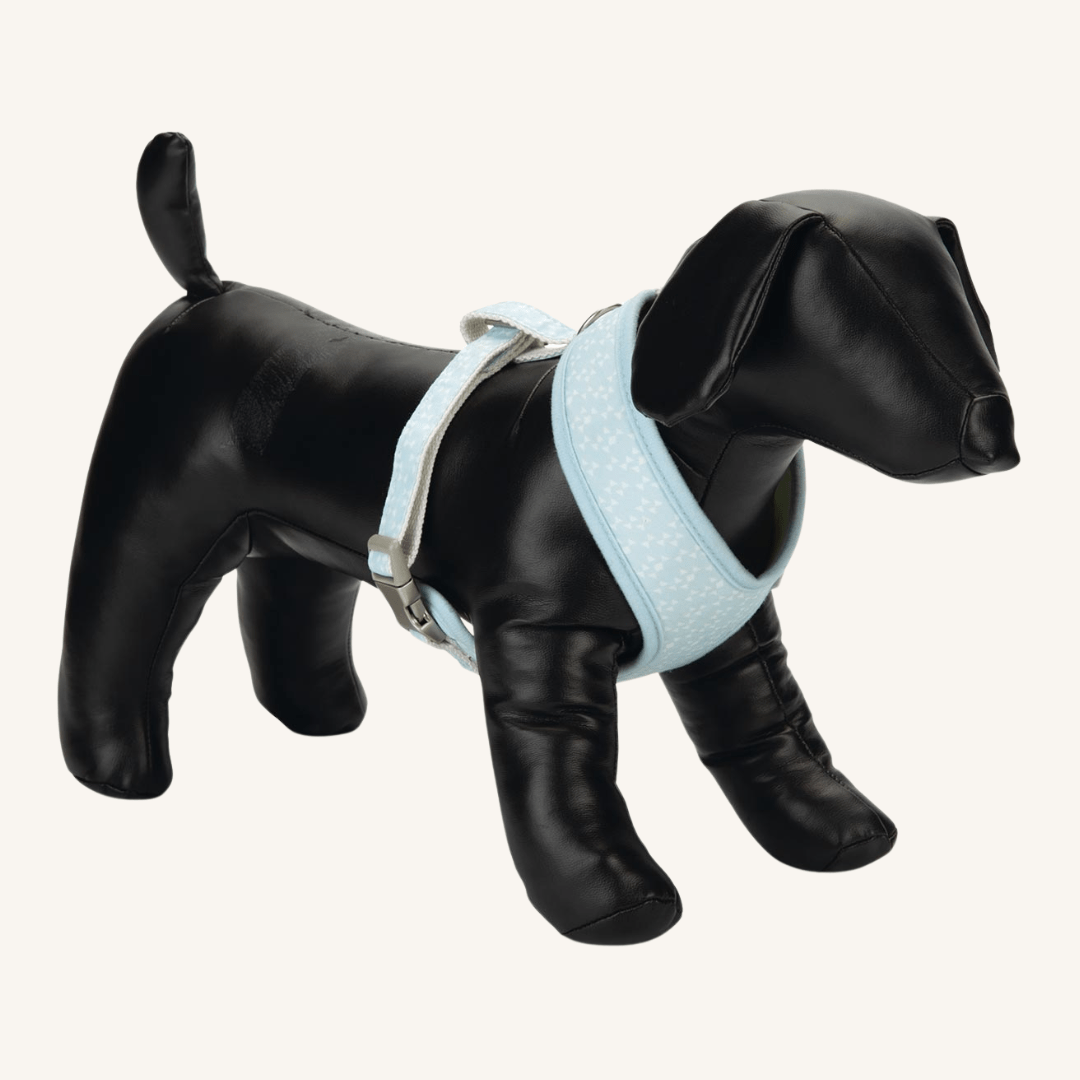 Oprsnica za pasje mladičke L od Beeztees | Na voljo pri Forapet