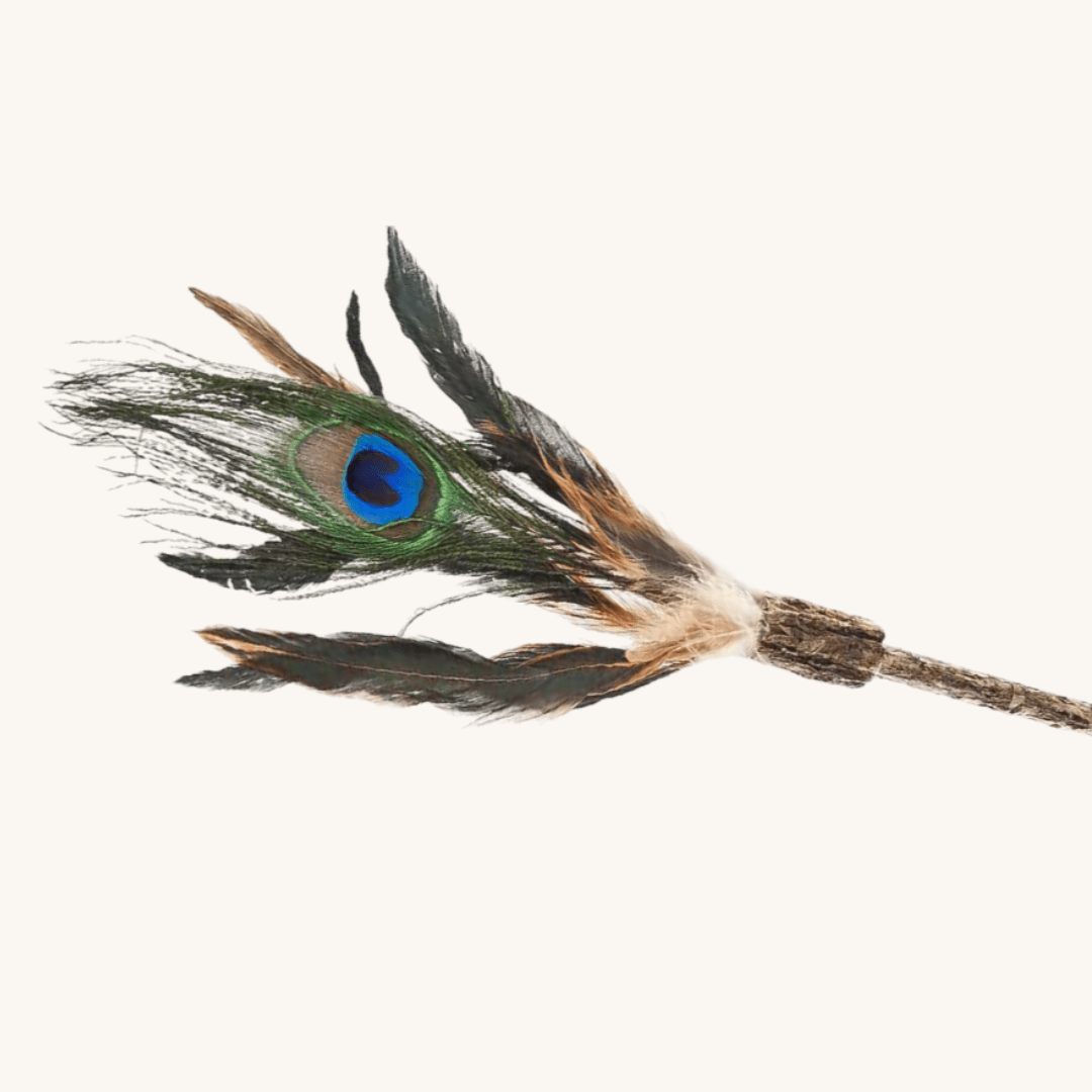 ORGANIC mačja igrača na palici PERO od Ferribiella | Na voljo pri Forapet