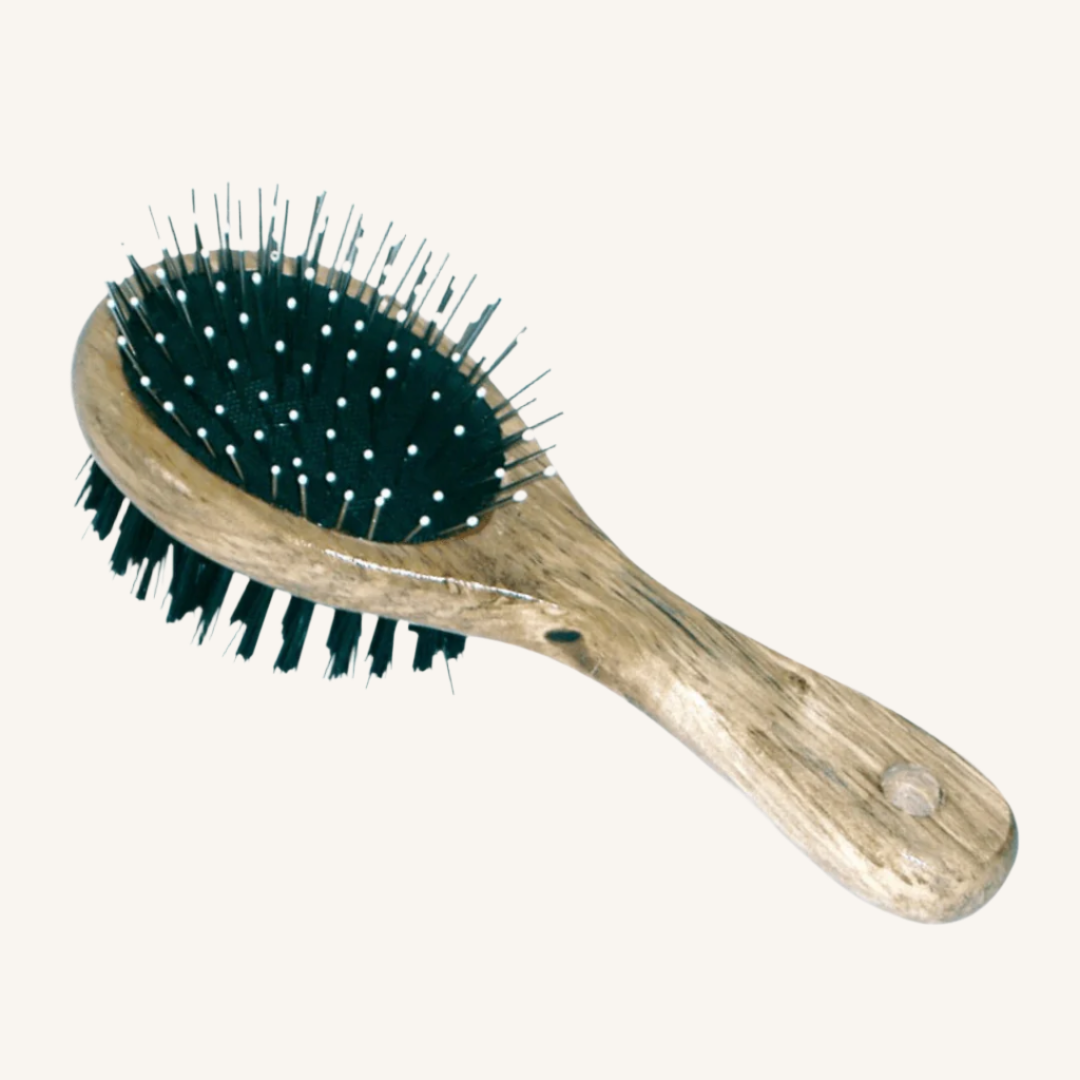 Ovalna dvojna krtača 17 x 6,7 cm od Croci | Na voljo pri Forapet