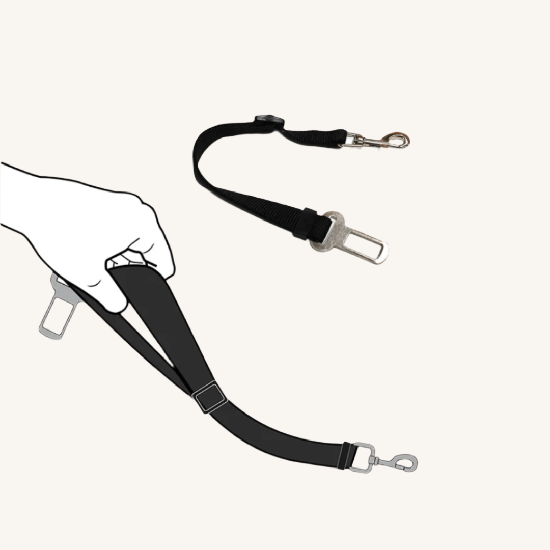 Pas za v avto 46 - 70 x 2 cm od Croci | Na voljo pri Forapet