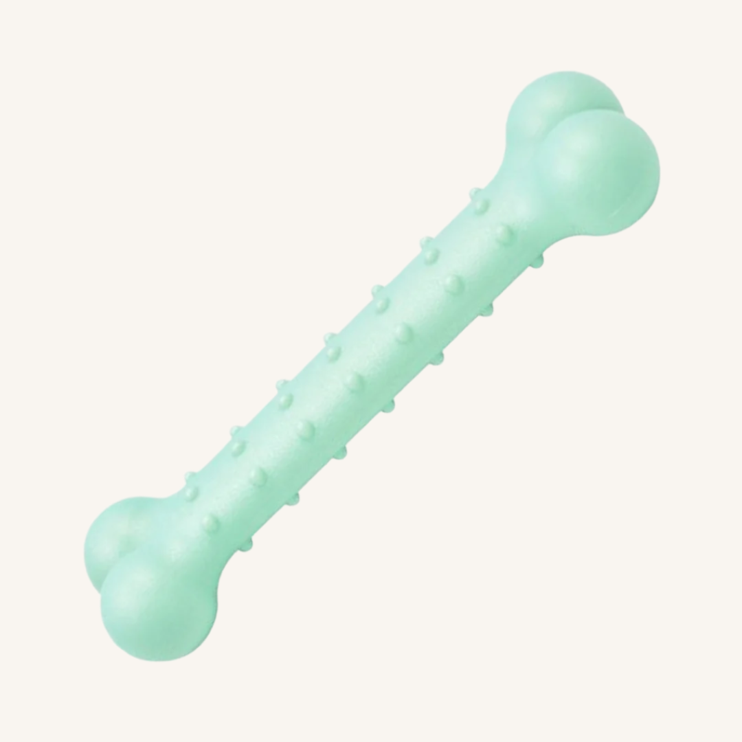 Pasja igrača KOST z okusom mentola od Ferribiella | Na voljo pri Forapet