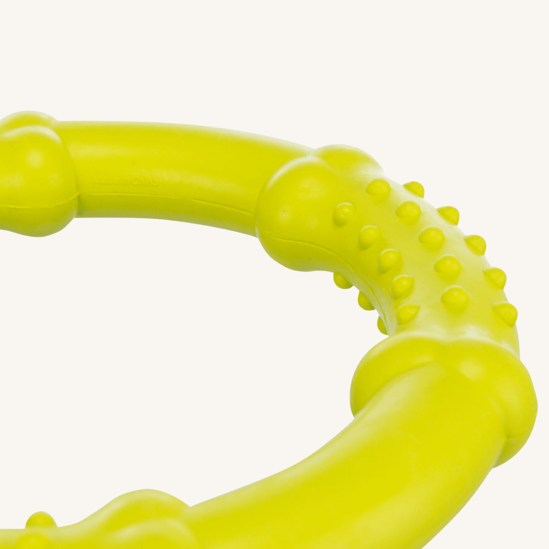 Pasja igrača PLAVAJOČ OBROČ od Trixie | Na voljo pri Forapet