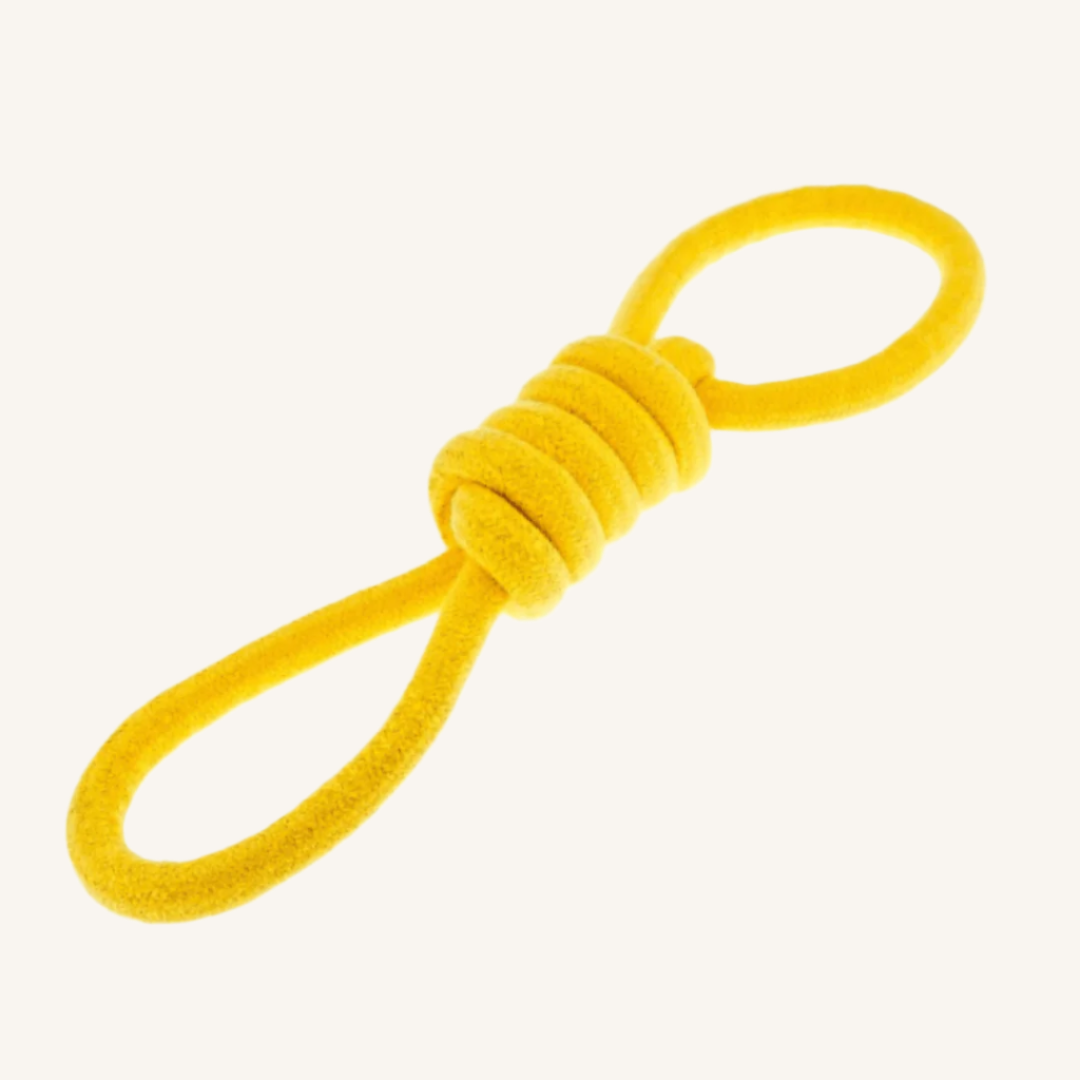 Pasja igrača VRV z ročajema od Ferribiella | Na voljo pri Forapet