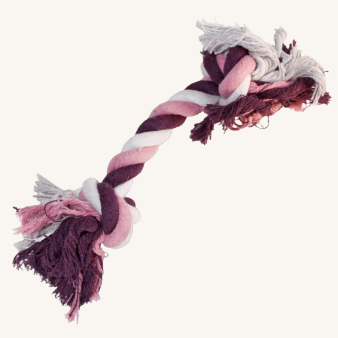 Pasja igrača VRV Z VOZLOMA 30 cm od Croci | Na voljo pri Forapet