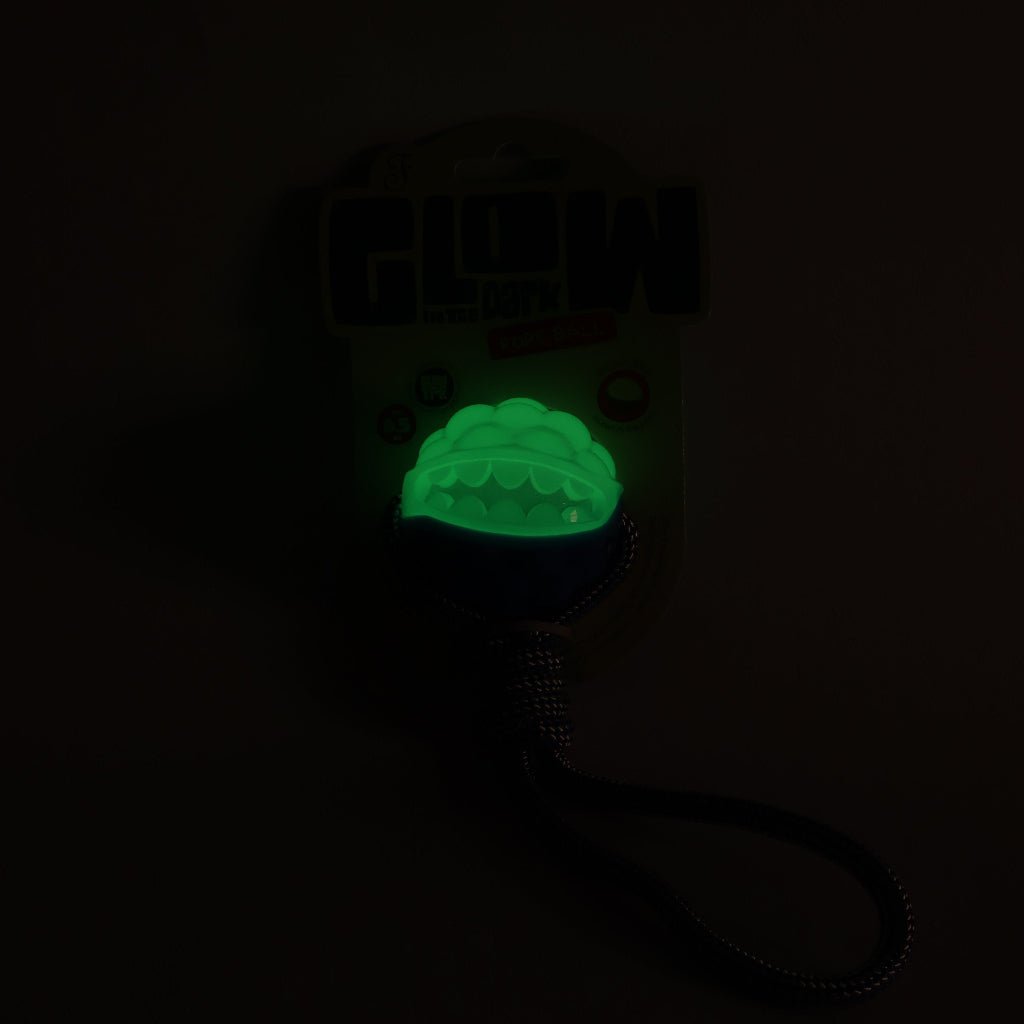 Pasja igrača ŽOGA na vrvi od Ferribiella | Na voljo pri Forapet