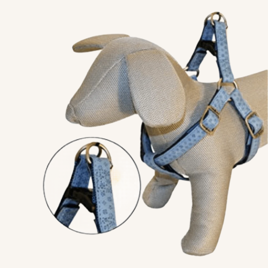 Pasja oprsnica Mylord od Croci | Na voljo pri Forapet