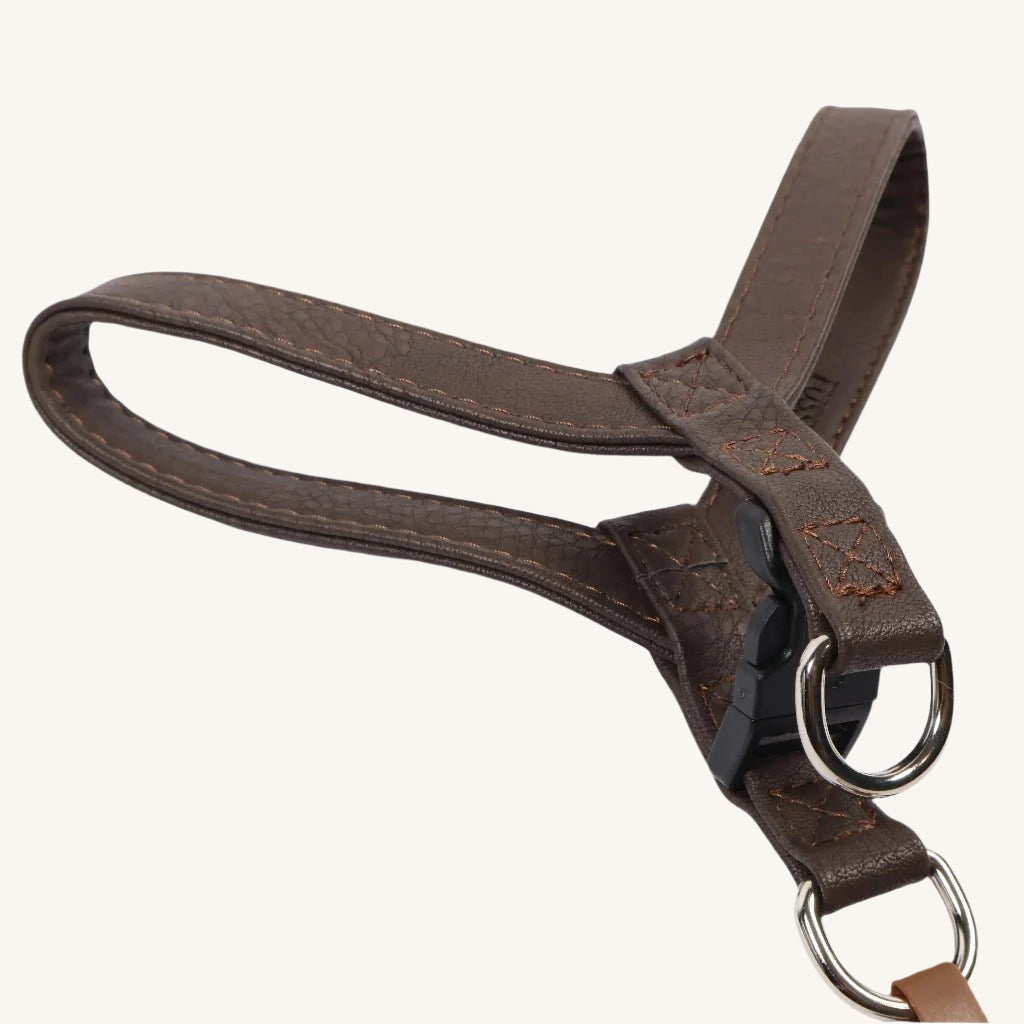 Pasja oprsnica Super Coco od Ferribiella | Na voljo pri Forapet