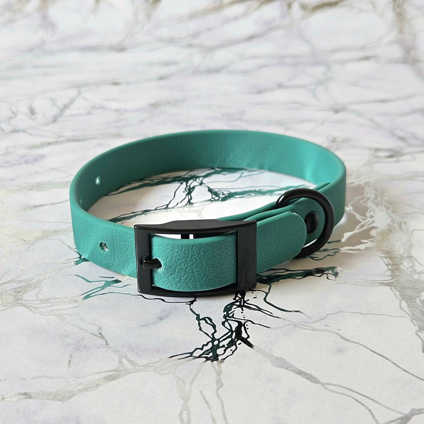 Pasja ovratnica Mint od Forapet | Na voljo pri Forapet