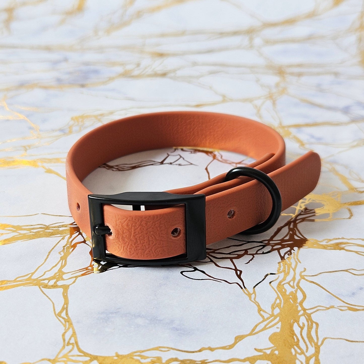 Pasja ovratnica Peach od Forapet | Na voljo pri Forapet