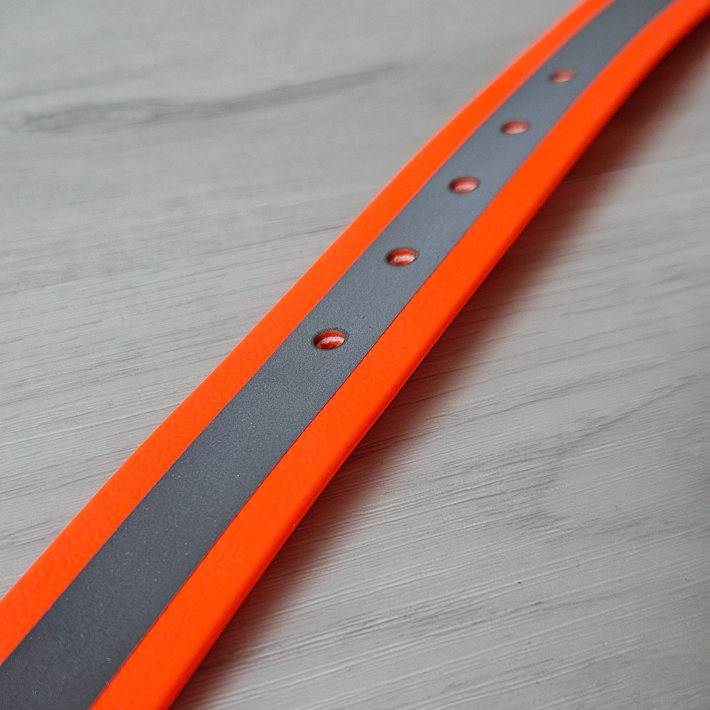 Pasja ovratnica Reflective L od Forapet | Na voljo pri Forapet