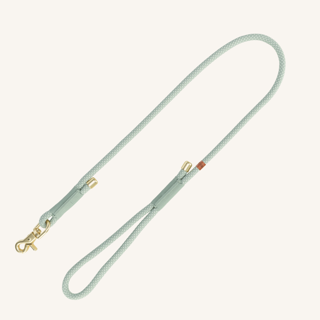 Pasji povodec - mehka vrv od Trixie | Na voljo pri Forapet