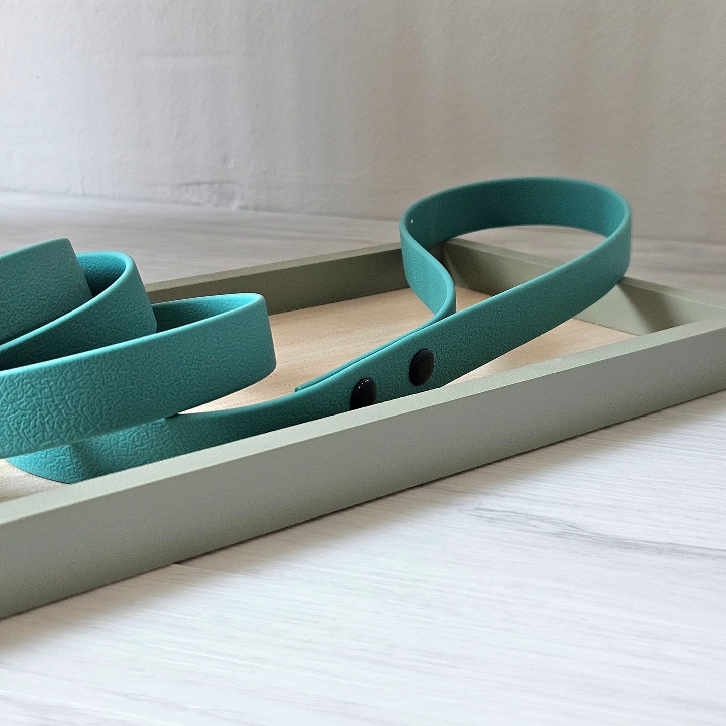 Pasji povodec Mint 120 cm od Forapet | Na voljo pri Forapet