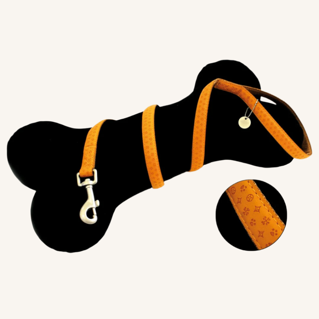 Pasji povodec Mylord od Croci | Na voljo pri Forapet