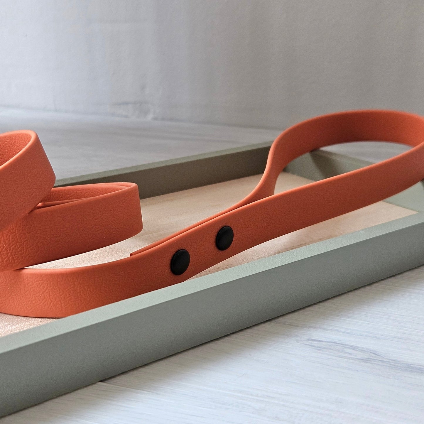 Pasji povodec Peach 120 cm od Forapet | Na voljo pri Forapet