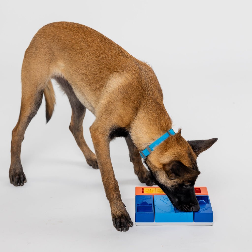 Pawzler ǀ Beginner Set od Pawzler | Na voljo pri Forapet