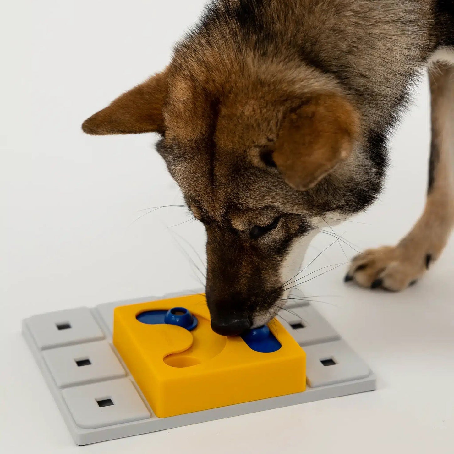 Pawzler ǀ Kaya Pawzle od Pawzler | Na voljo pri Forapet