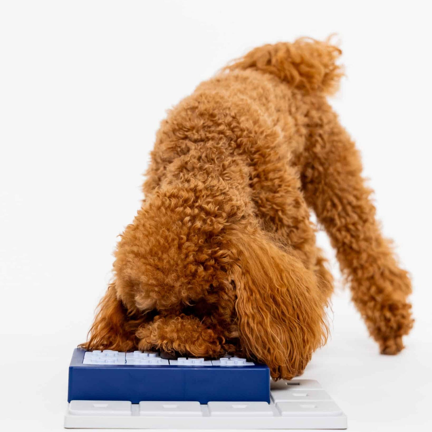 Pawzler ǀ Louvre Pawzle od Pawzler | Na voljo pri Forapet