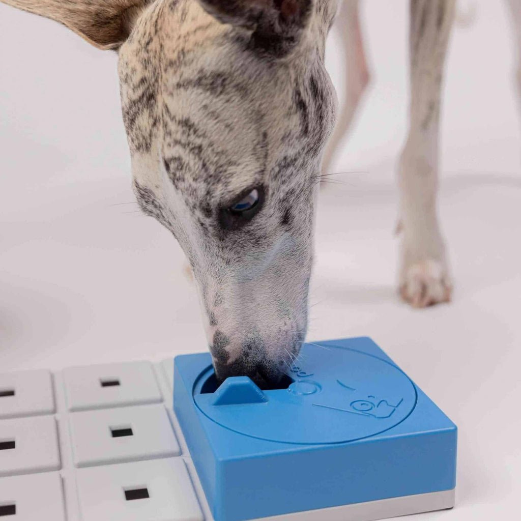 Pawzler ǀ Oli Pawzle od Pawzler | Na voljo pri Forapet