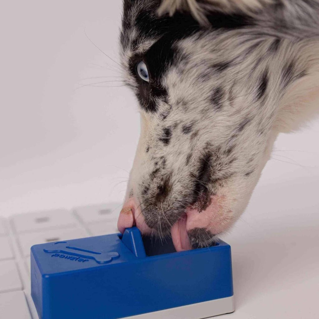 Pawzler ǀ Onix Pawzle od Pawzler | Na voljo pri Forapet