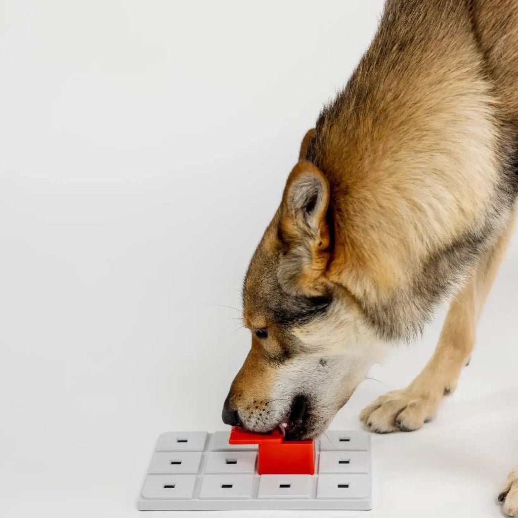 Pawzler ǀ Peach Pawzle od Pawzler | Na voljo pri Forapet