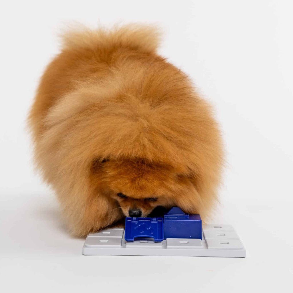 Pawzler ǀ Sela Pawzle od Pawzler | Na voljo pri Forapet