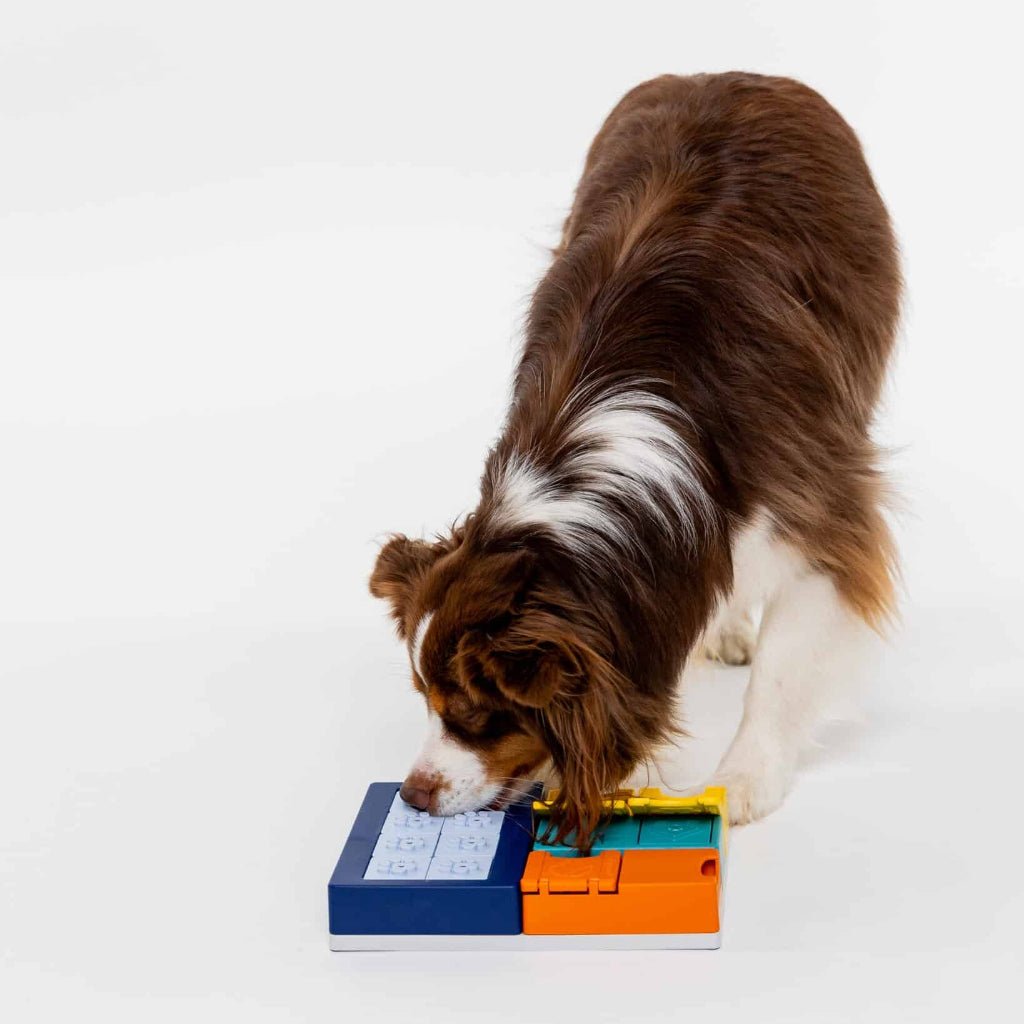 Pawzler ǀ Smarty Set od Pawzler | Na voljo pri Forapet