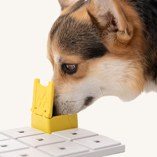 Pawzler ǀ Zoey Pawzle od Pawzler | Na voljo pri Forapet