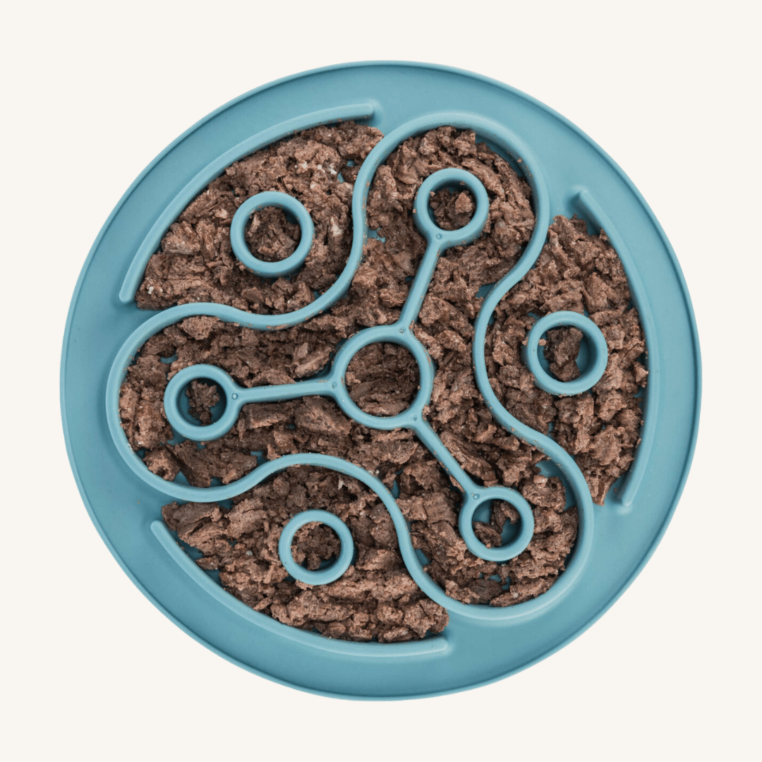 Pladenj za počasno hranjenje od Trixie | Na voljo pri Forapet