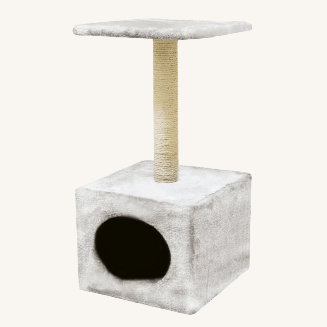 Praskalnik Hamburg 30 x 30 x 60 cm od Croci | Na voljo pri Forapet