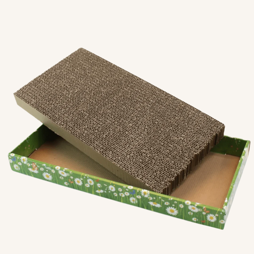 Praskalnik iz kartona 48 x 25,5 x 5 cm od Croci | Na voljo pri Forapet