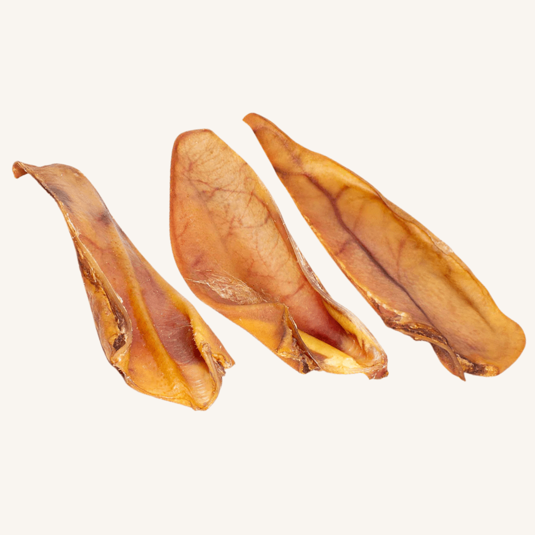 Smart Pet ǀ rezani svinjski uhlji 10 kos od Smart Pet | Na voljo pri Forapet