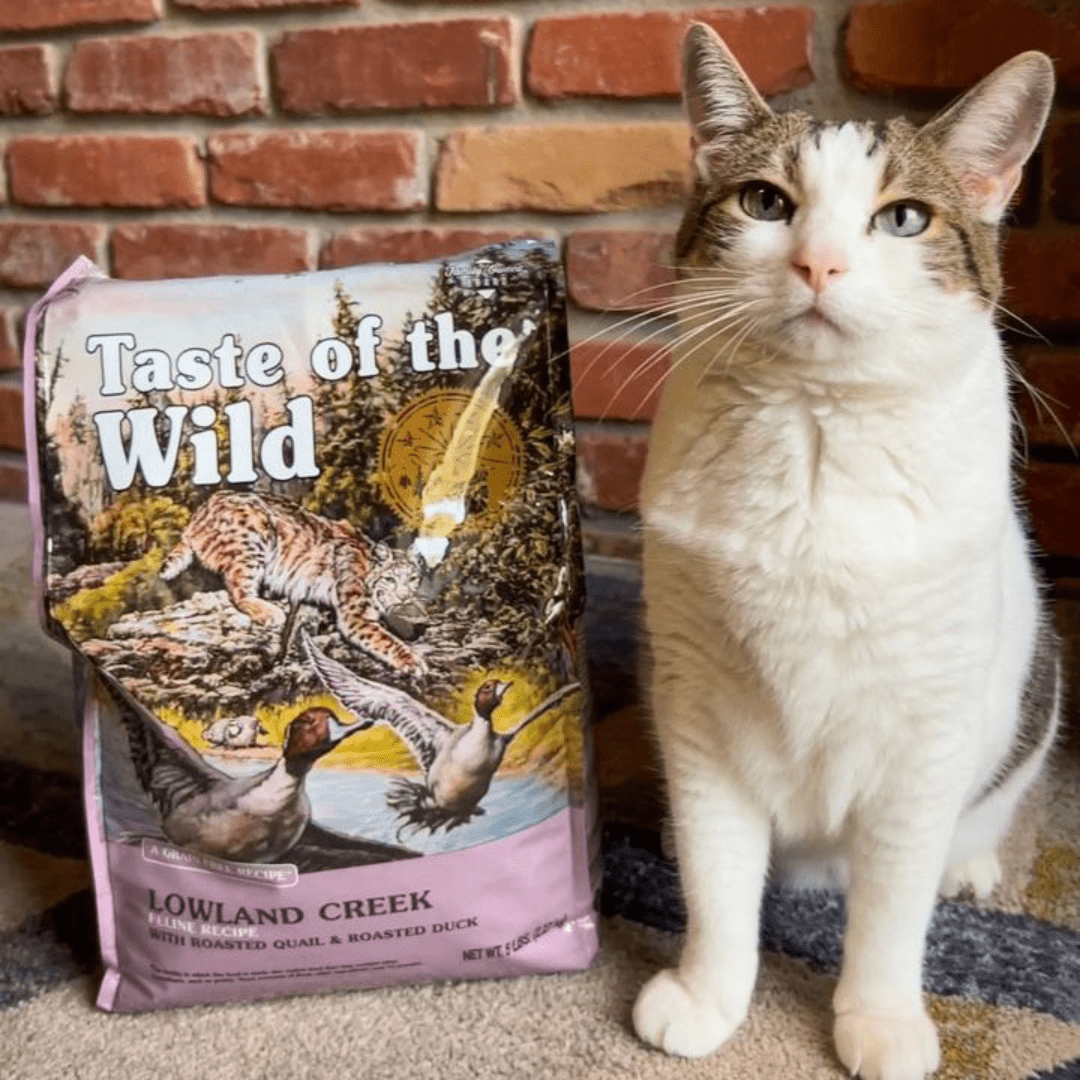 Taste of the Wild ǀ Lowland Creek mačji briketi - PERUTNINA 2 kg od Taste of the Wild | Na voljo pri Forapet