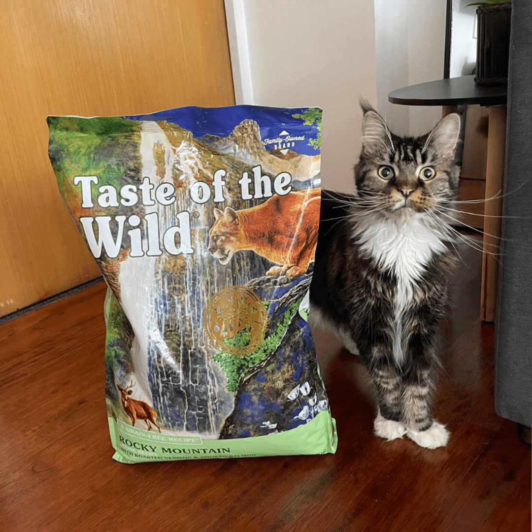 Taste of the Wild ǀ Rocky Mountain mačji briketi - DIVJAČINA & LOSOS 2 kg od Taste of the Wild | Na voljo pri Forapet