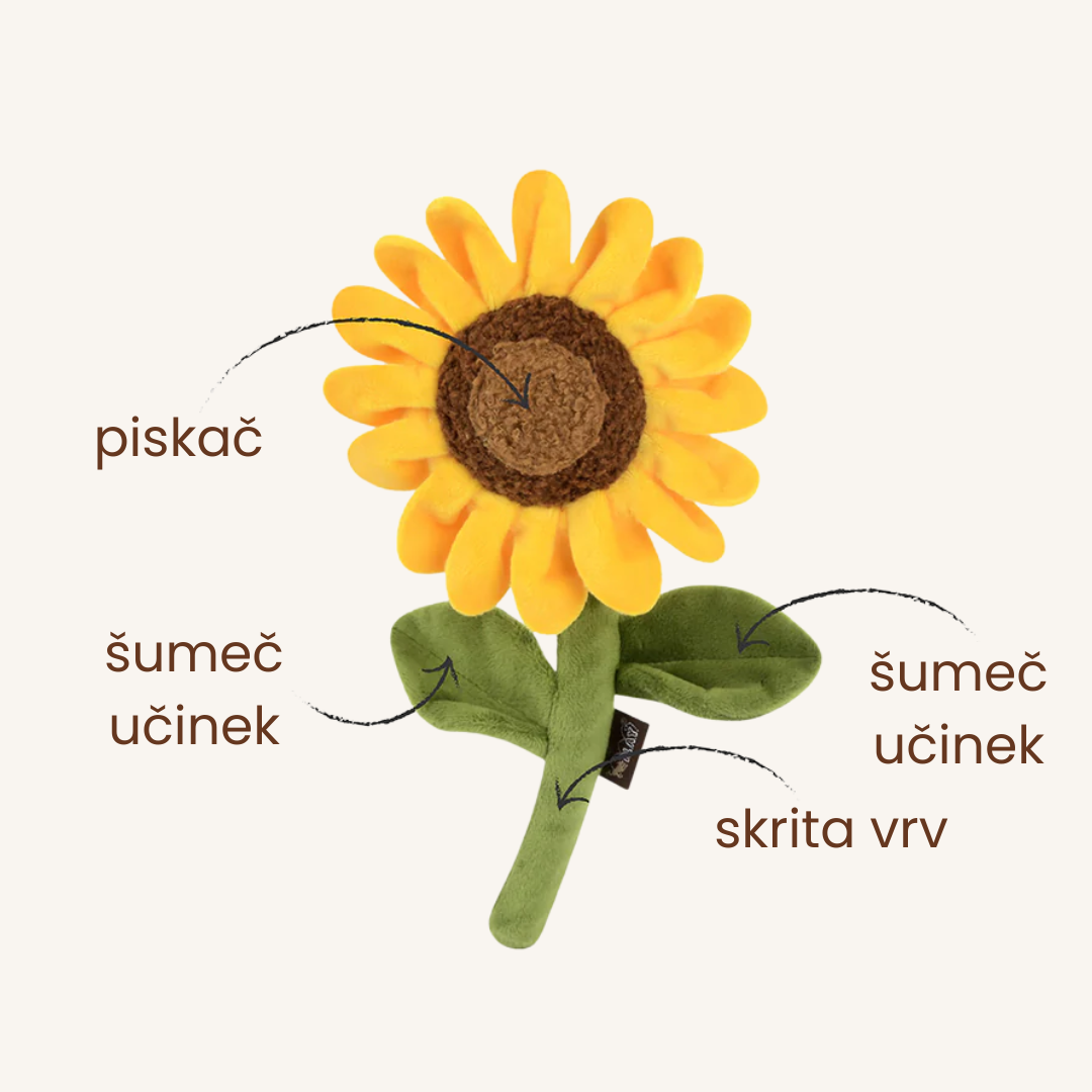 Pasja igrača SONČNICA