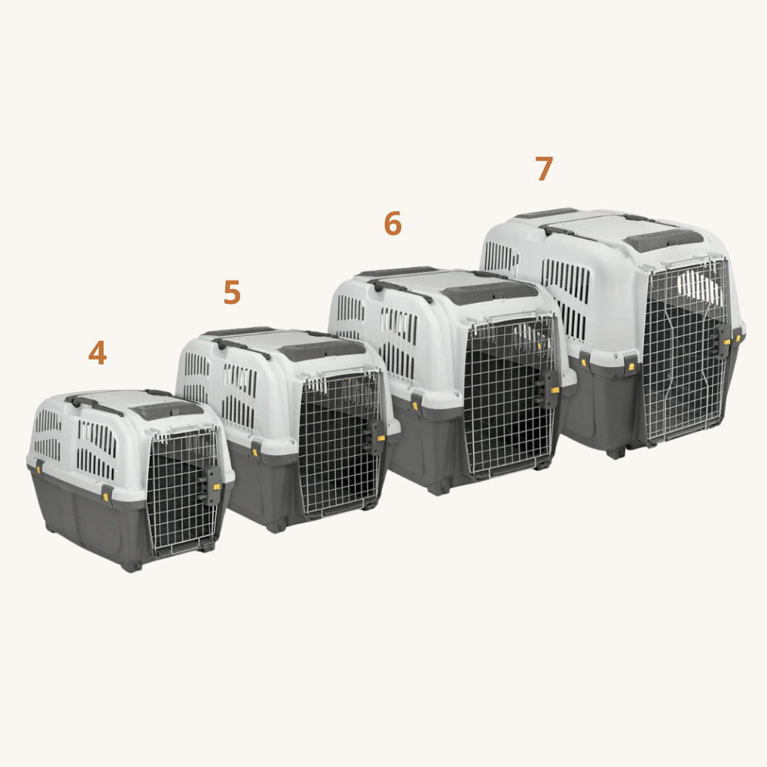 Transporter za pse in mačke (IATA certifikat) od MPS | Na voljo pri Forapet