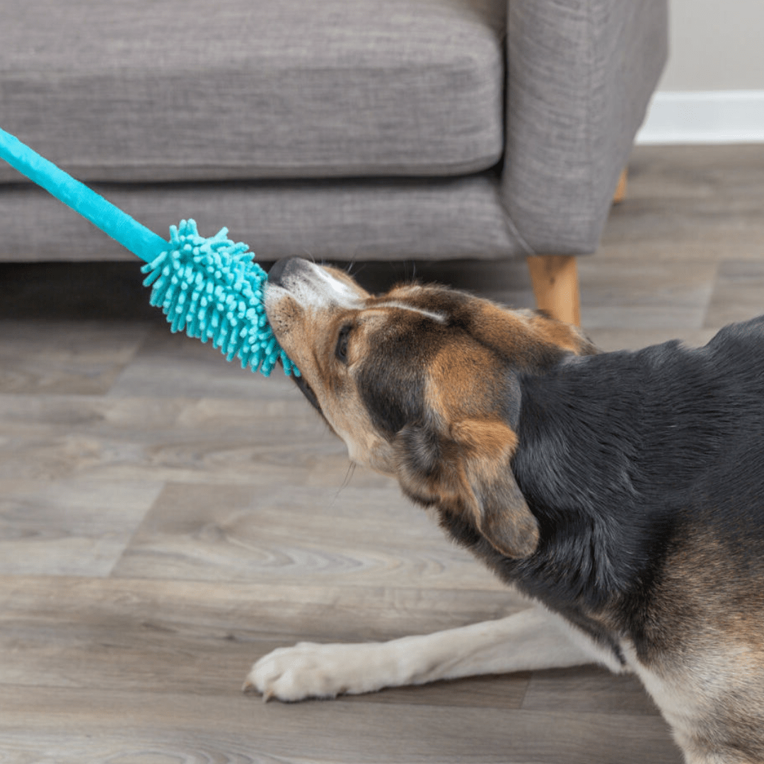 Trixie ǀ pasja igrača kosmatinček na raztegljivi vrvi od Trixie | Na voljo pri Forapet