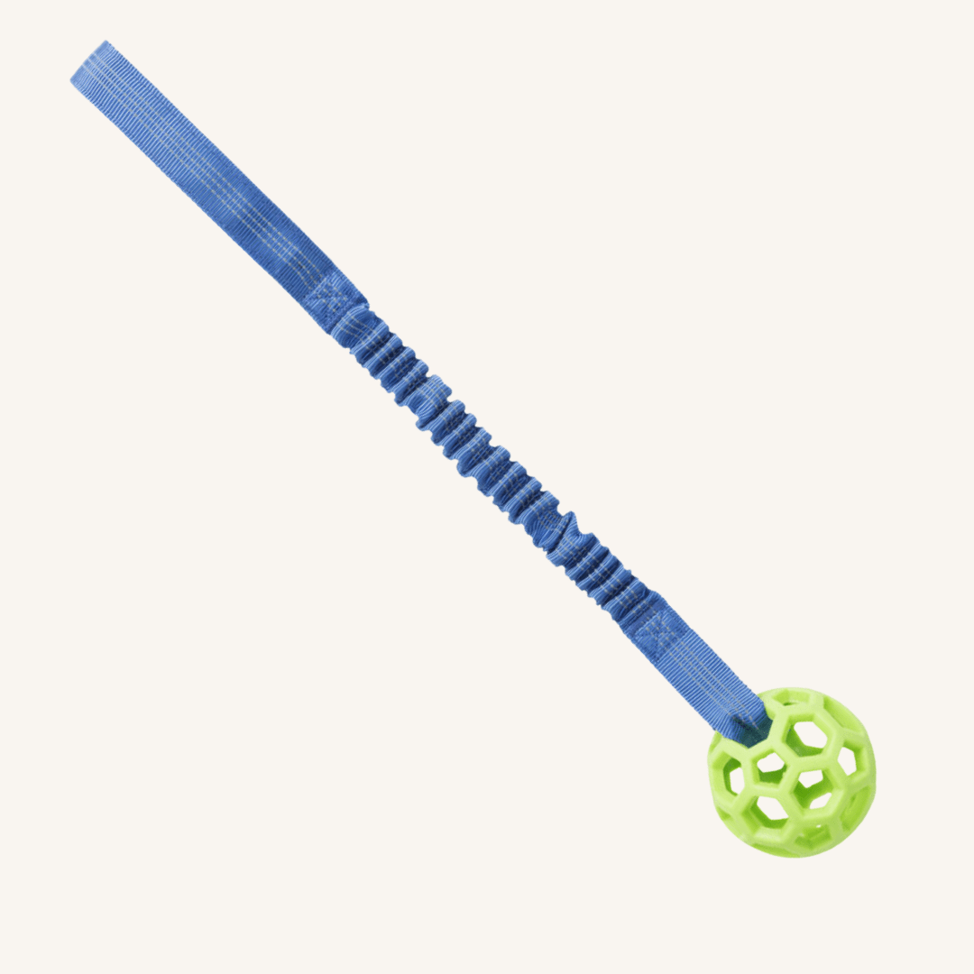 Trixie ǀ pasja igrača mrežasta žoga na raztegljivi vrvi od Trixie | Na voljo pri Forapet
