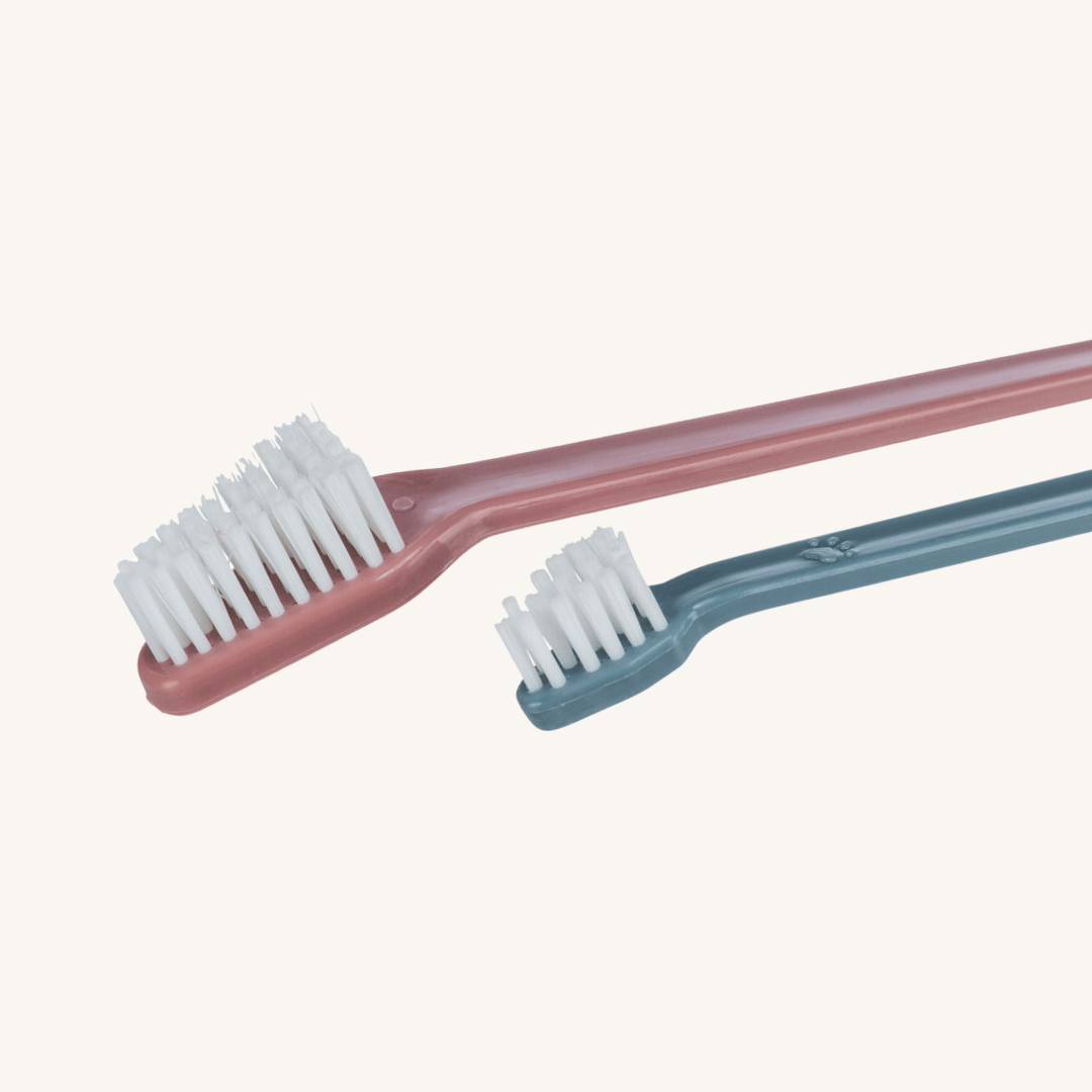 Zobna ščetka za pse 4 kos od Trixie | Na voljo pri Forapet