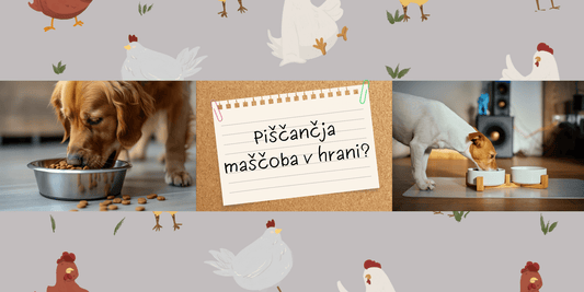 Piščančja maščoba v hipoalergeni hrani? - Forapet