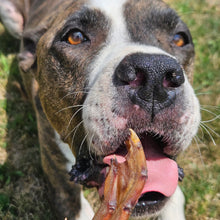 Natural Greatness ǀ semi-moist dog sticks - JOINT SUPPORT 150 g