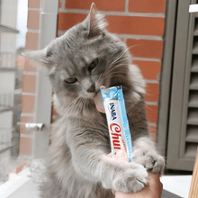 Inaba ǀ mačji kremni priboljšek KOŽA & DLAKA - TUNA 20x14 g od Inaba | Na voljo pri Forapet