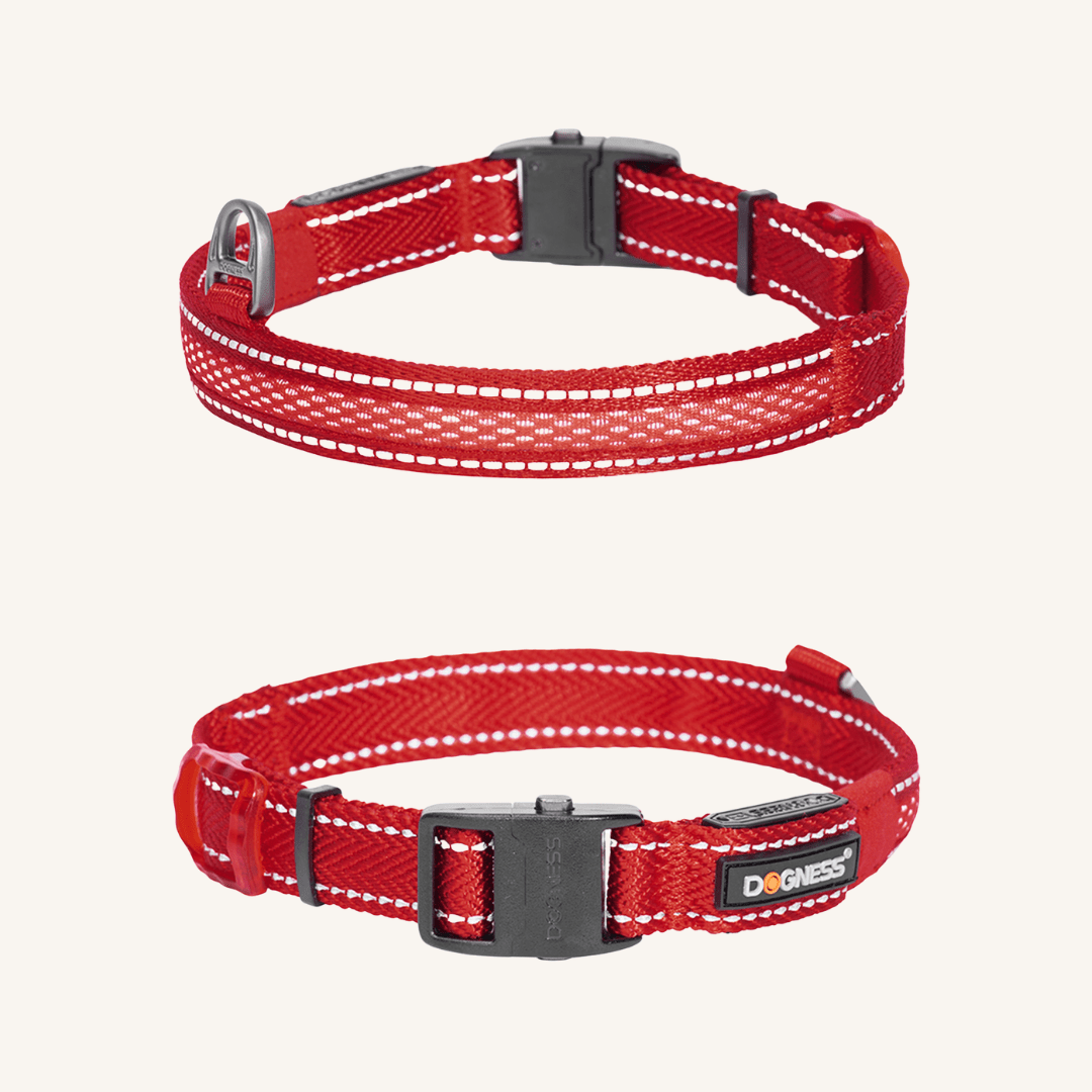 LED pasja ovratnica od Dogness | Na voljo pri Forapet