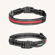 LED pasja ovratnica od Dogness | Na voljo pri Forapet