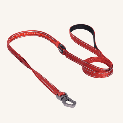 LED pasji povodec M/L od Dogness | Na voljo pri Forapet